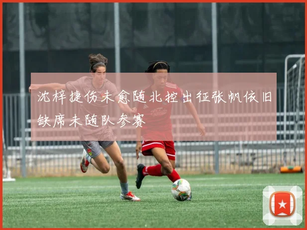 沈梓捷伤未愈随北控出征张帆依旧缺席未随队参赛